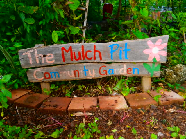 The Mulch Pit –